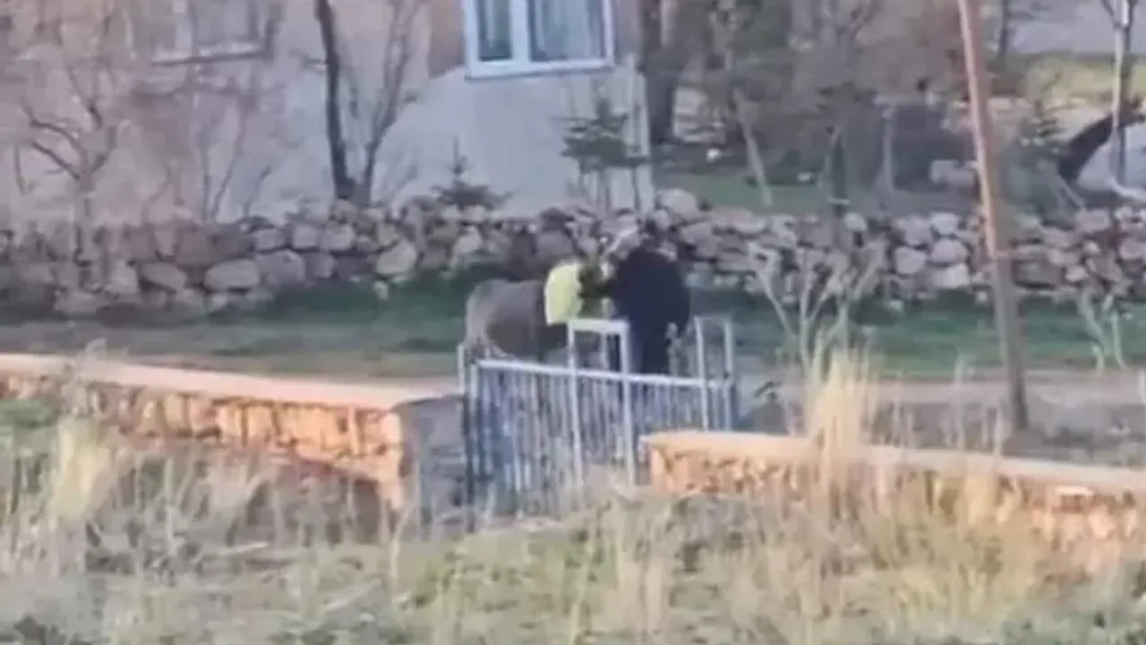 Sivas’ta 80 yaşındaki adam eşeğin kafasına çuval geçirip döverek öldürdü! 