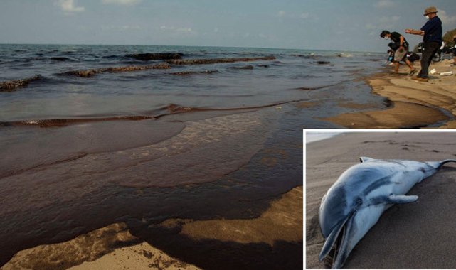 Karadeniz’de alarm verildi! Petrol sızıntısı