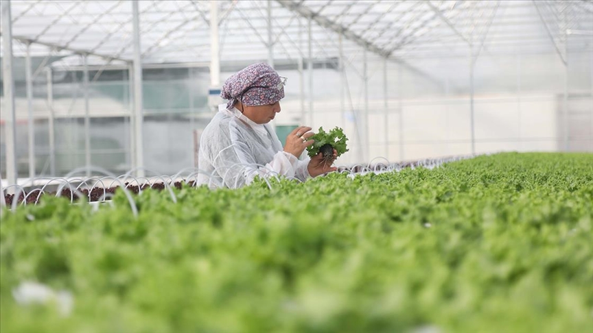 Bakanlıktan Samsun'a milyonluk hibe desteği