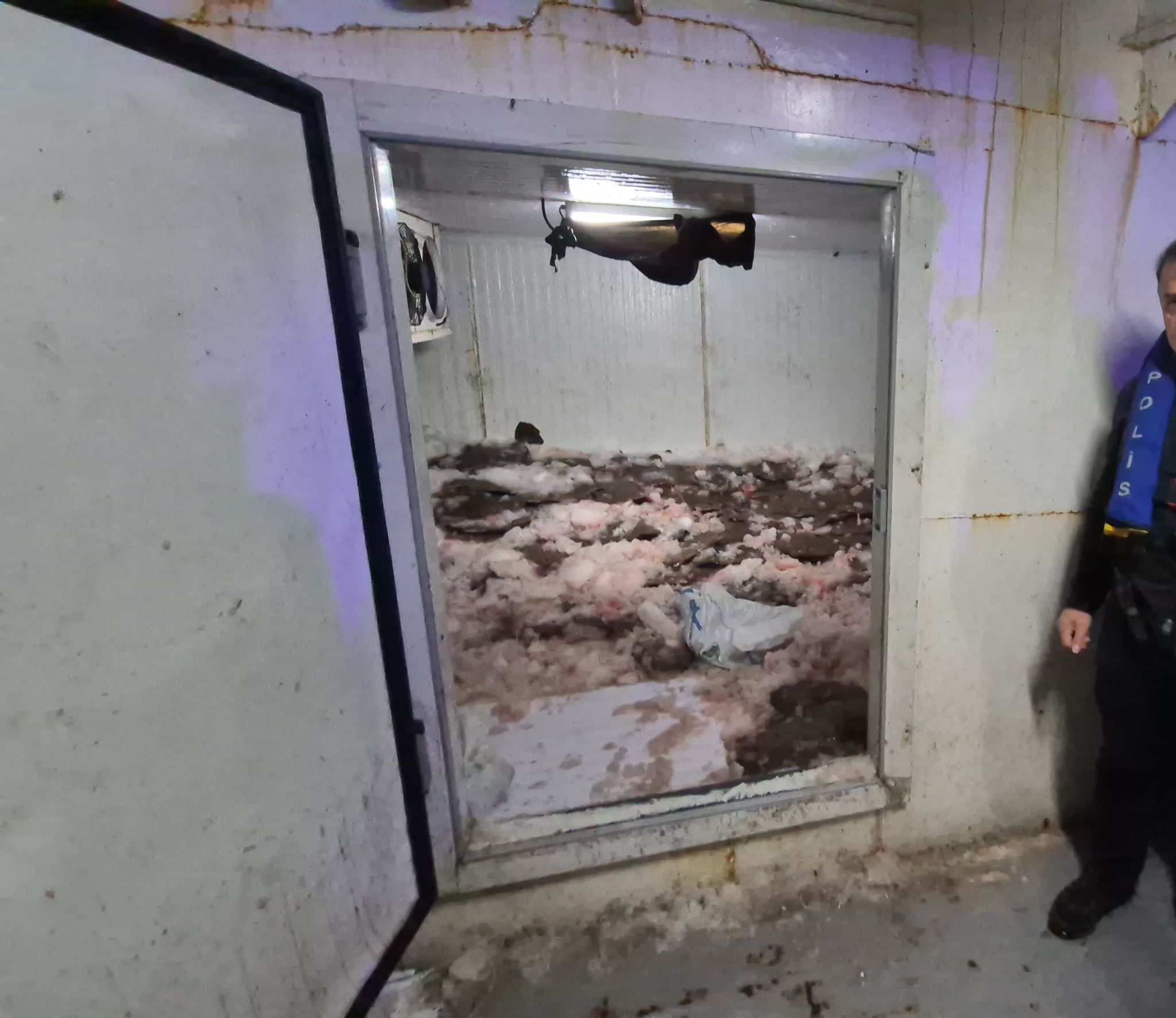 Samsun'da kaçak avlanmaya geçit yok! 6 ton balığa el konuldu