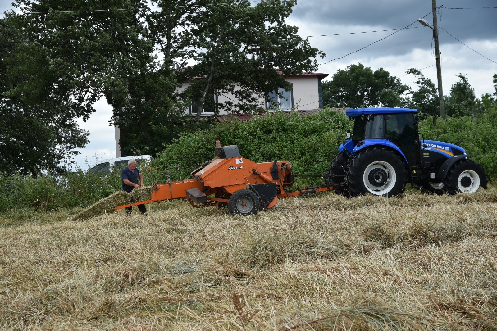 Atakum’da tarımla uğraşan ailelere yem bitkisi desteği