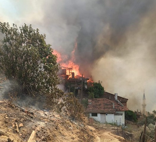 Ödemiş'te orman işçisi yangını söndürmek isterken can verdi!