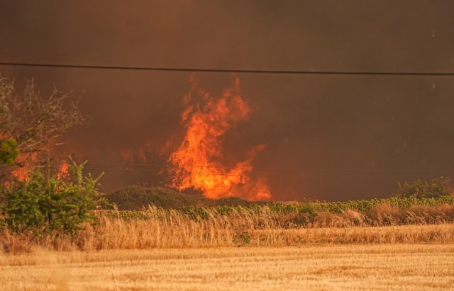 Tekirdağ Şarköy'de çıkan orman yangını Çanakkale'ye sıçradı
