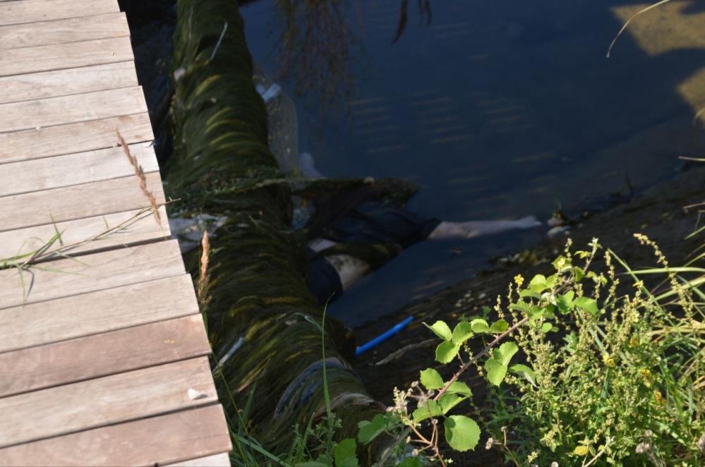 Samsun'da sulama kanalında bulunan kadın cesedinin kimliği belli oldu