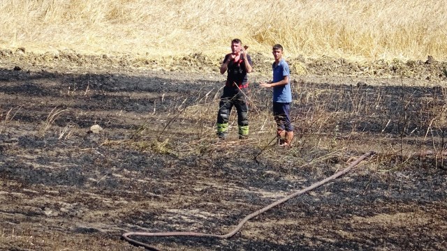 Samsun'da buğday tarlası yangında küle döndü