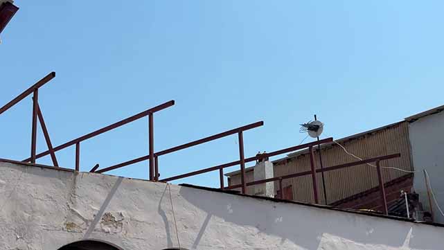 Samsun'da stajyer öğrenci yüksekten düştü!