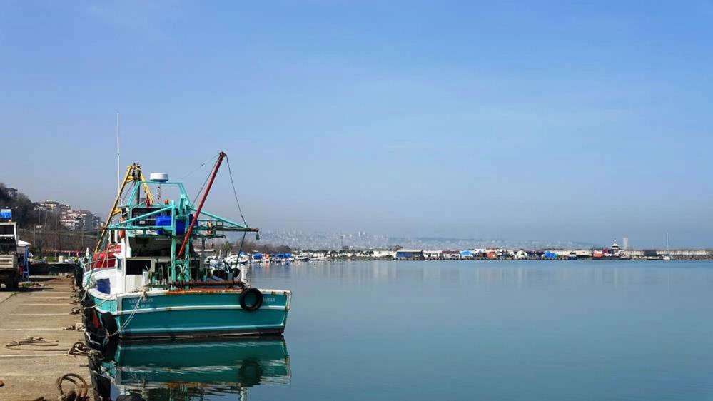 Samsun'da 2025 yılında tonlarca balık üretimi yapılacak