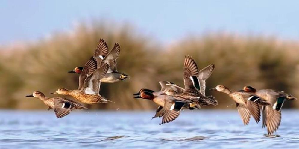 Samsunlu savcı, gizli güzellikleri keşfediyor