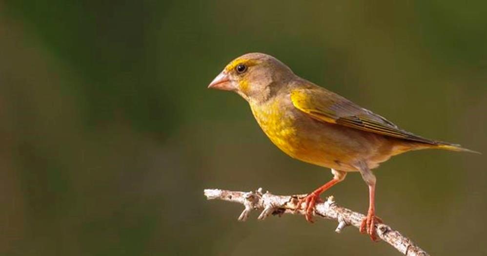 Samsunlu savcı, gizli güzellikleri keşfediyor