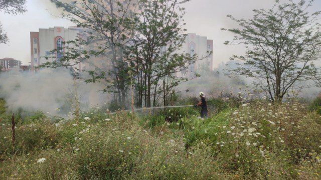 Samsun Çarşamba'da sazlık alanda yangın
