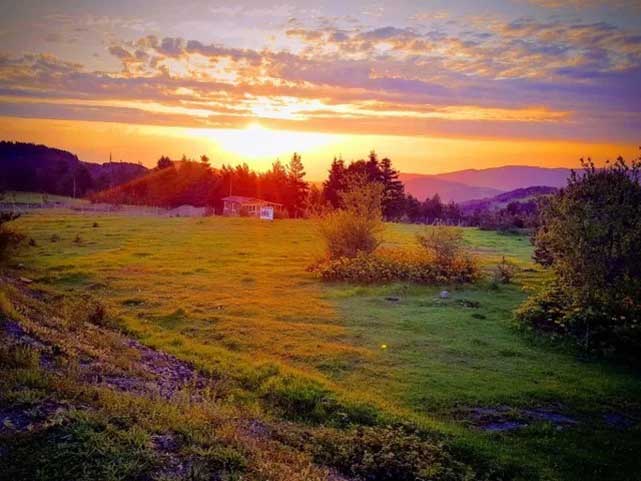 Samsun'da doğa katliamı! Şahin Dağları'ndan sonra Dürtmen Dağları'nda da altın aranacak