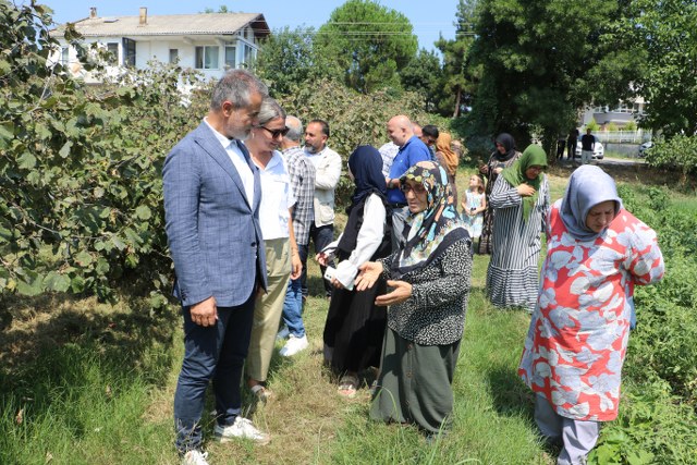 Suat Kılıç: Fındığın kilosu 250 TL'nin üzerinde olmalı