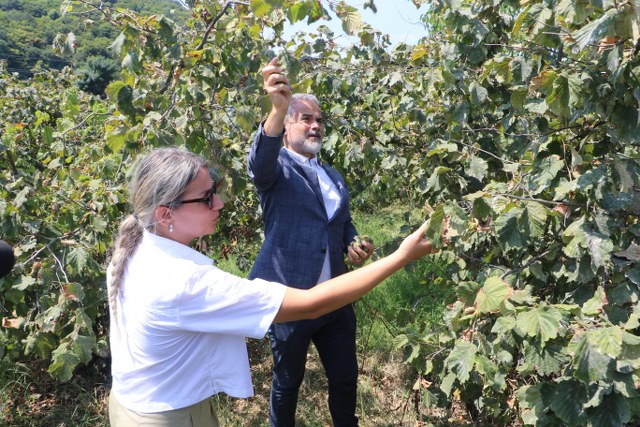 Suat Kılıç: Fındığın kilosu 250 TL'nin üzerinde olmalı