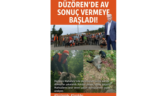 Samsun Canik'te domuz sürek avı yapıldı