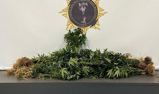 Samsun polisinden operasyon! Uyuşturucu ve aranan şahıslar yakalandı