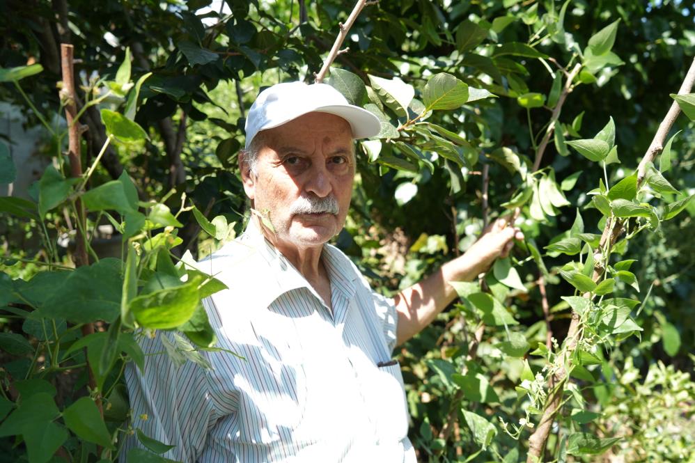 Emekli öğretmenin Samsun’daki tropikal bahçesi! 50 ülkeden 200 çeşit meyve-sebze