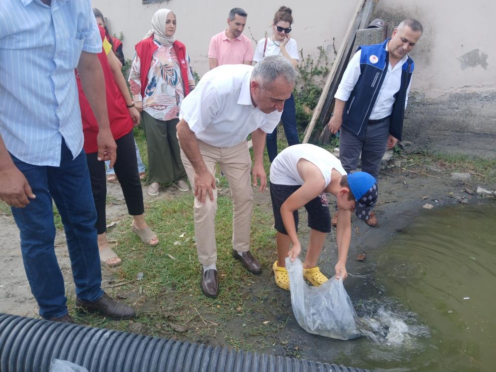 Samsun'da yaklaşık 2 milyon 341 bin sazan su kaynaklarına salındı