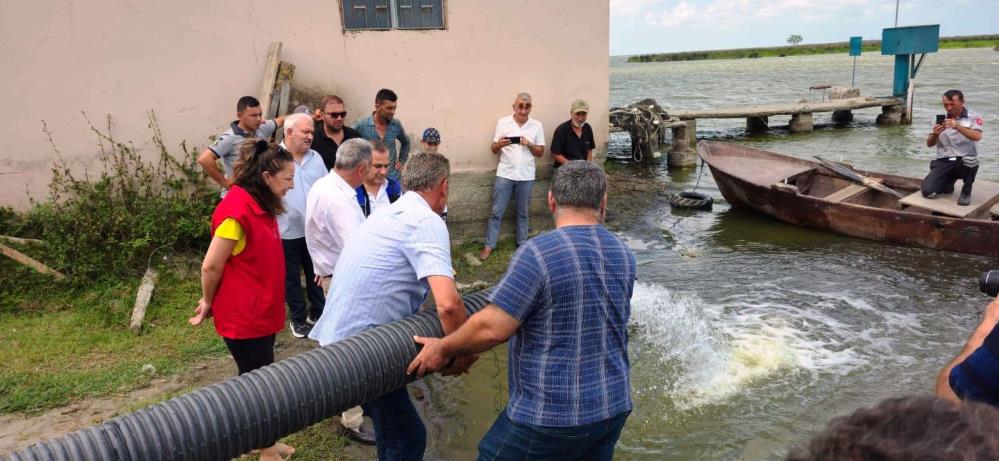 Samsun'da yaklaşık 2 milyon 341 bin sazan su kaynaklarına salındı