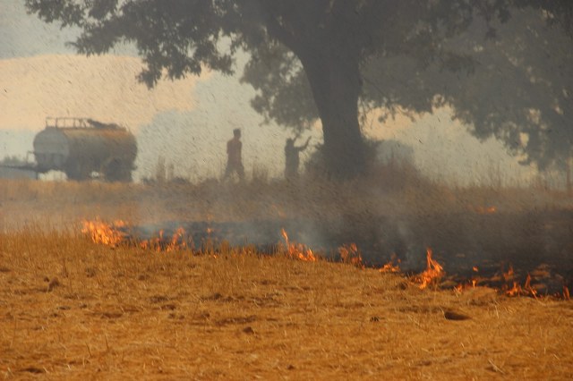 Bakan Yumaklı'dan Çanakkale'deki yangınlarla ilgili açıklama! 4 gözaltı