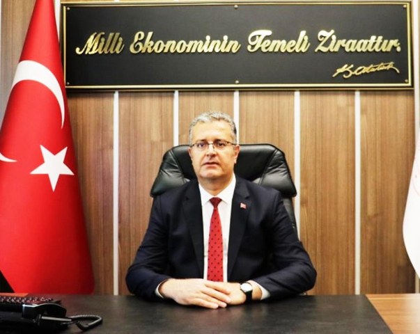 Samsun'da fındık hasadı başladı