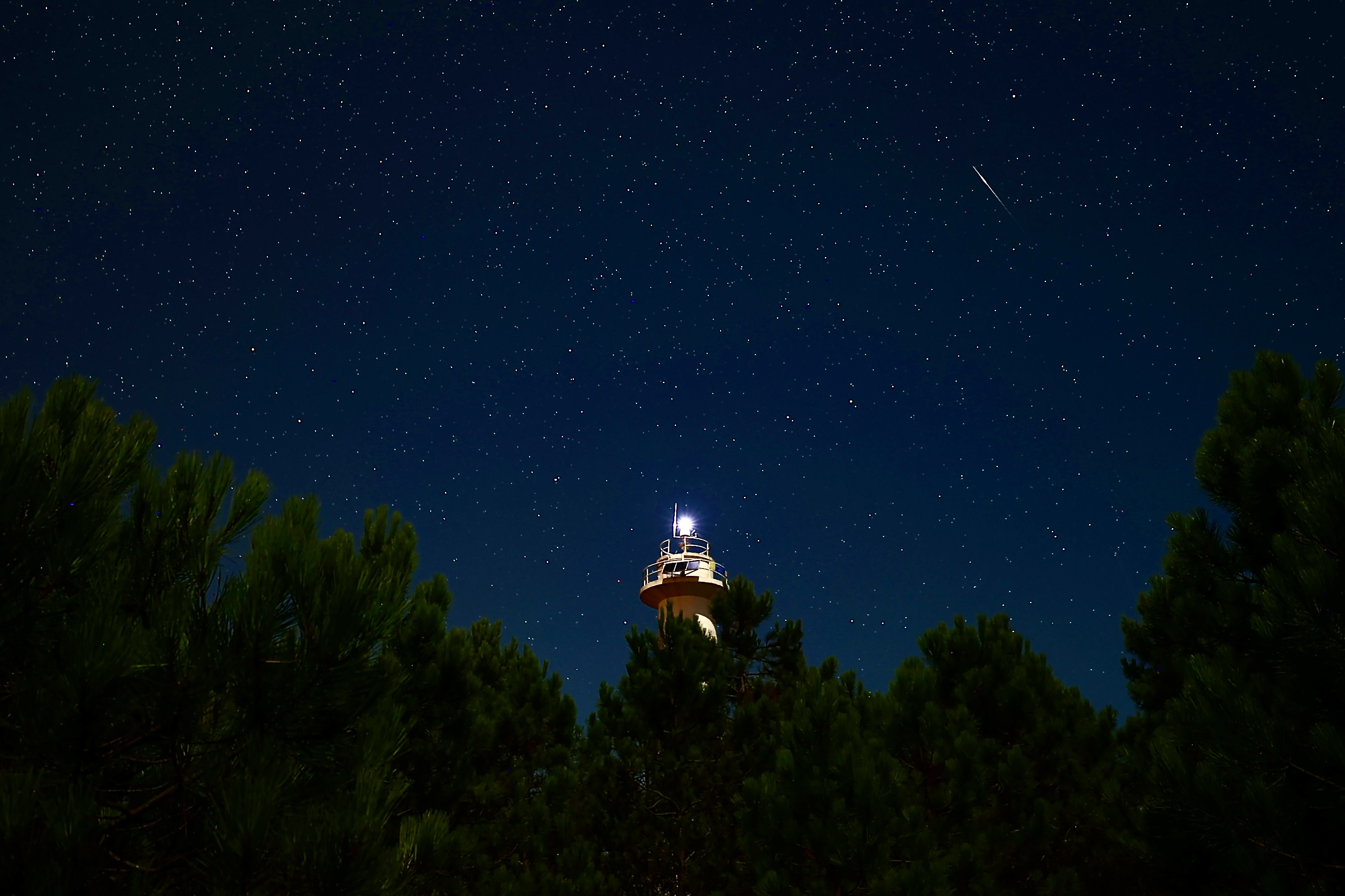 Perseid meteor yağmuru Samsun semalarını süsledi