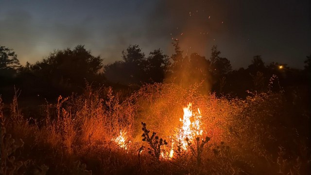 Samsun'da örtü yangını!