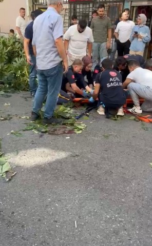 Oyuncu İbrahim Yıldız'ın üzerine ağaç devrildi! Yaşam mücadelesi veriyor