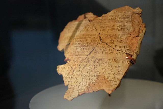 Samsun'da 3 bin yıllık fındık bulundu!