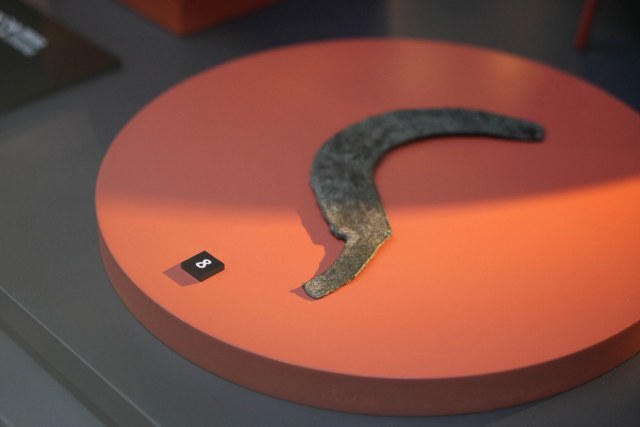 Samsun'da 3 bin yıllık fındık bulundu!