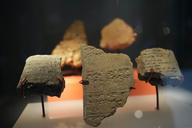 Samsun'da 3 bin yıllık fındık bulundu!