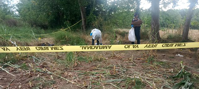 Korkunç olay! Tarlaya giren jandarma Samsunlu Cafer Ak kemiklerini buldu