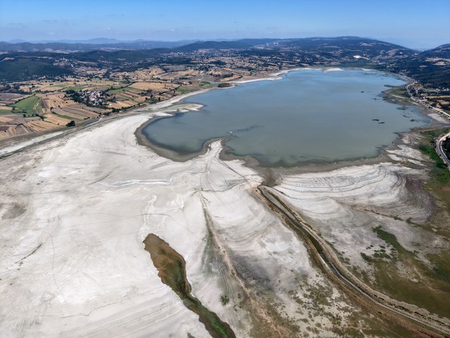 Samsun'da kuraklık alarmı! Ladik Gölü'nde inekler otluyor