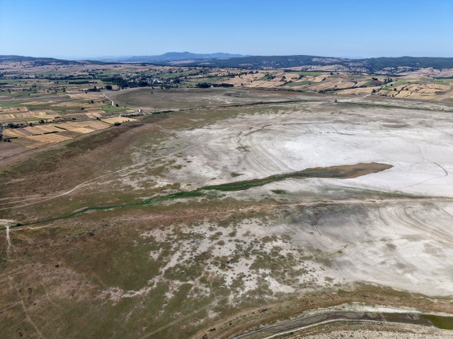 Samsun'da kuraklık alarmı! Ladik Gölü'nde inekler otluyor
