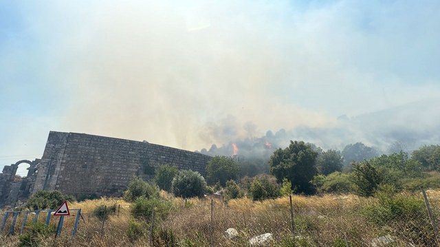 Bursa'da orman yangını çıktı!