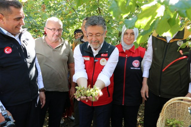 Bakan Yumaklı'dan fındıkta zirai don tazminatlarıyla ilgili açıklama