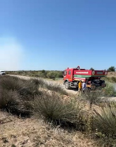Samsun'da Kızılırmak Deltası Kuş Cenneti'nde yangın