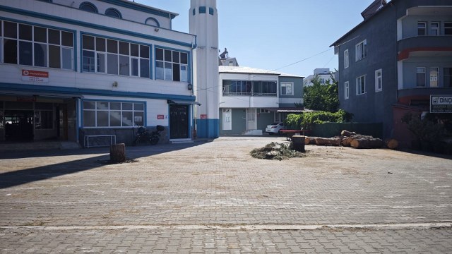 Samsun Atakum Taflan Yalı Cami'ndeki ağacı imam kestirdi iddiası! Vatandaşlardan imama tepki