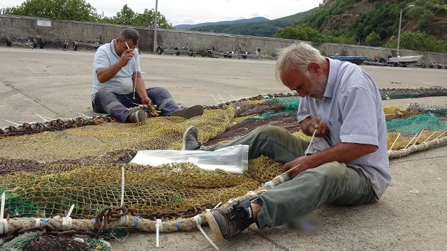 Samsun'da hamsi mesaisi sürüyor