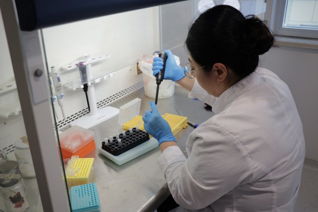 Karadeniz'de kene alarmı: Samsun'da risk haritası çıkartılıyor