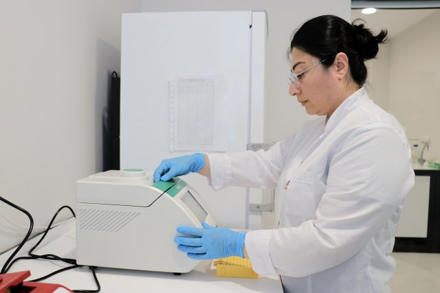 Karadeniz'de kene alarmı: Samsun'da risk haritası çıkartılıyor