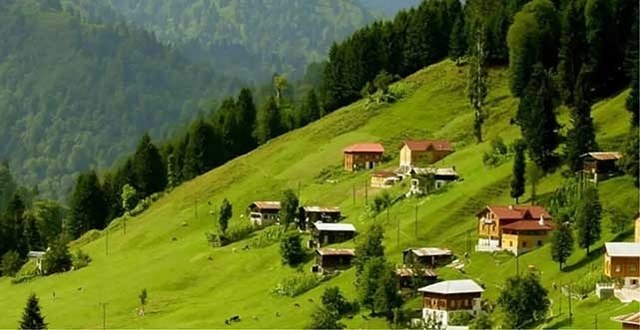 Dürtmen Dağında ruhsat muamması! Başkan 'Yok' diyor, MAPEG 'Var' diyor!