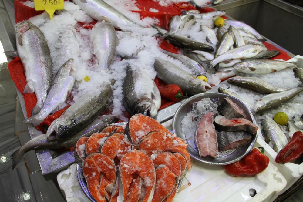 Samsun'da balıkçılar sezona hazır! Hamsi bol olacak