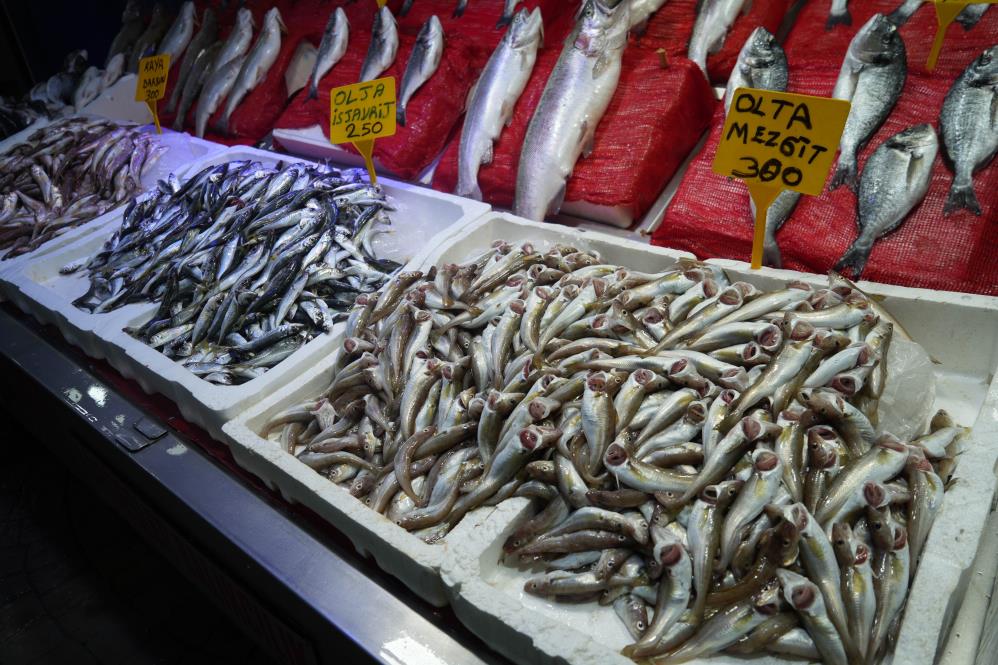 Samsun'da ilk balıklar tezgahlarda! Palamut yok, hamsi bol olacak
