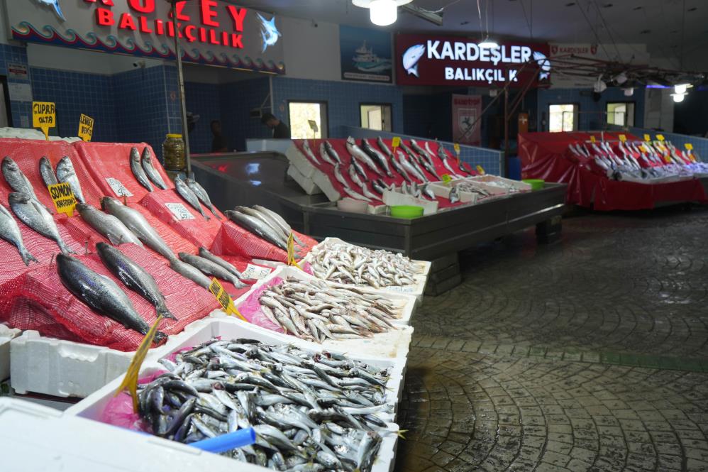Samsun'da ilk balıklar tezgahlarda! Palamut yok, hamsi bol olacak
