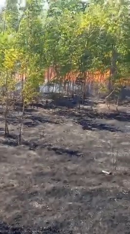 Lisenin bahçesinde çıkan yangın korku dolu anlar yaşattı