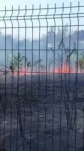 Lisenin bahçesinde çıkan yangın korku dolu anlar yaşattı