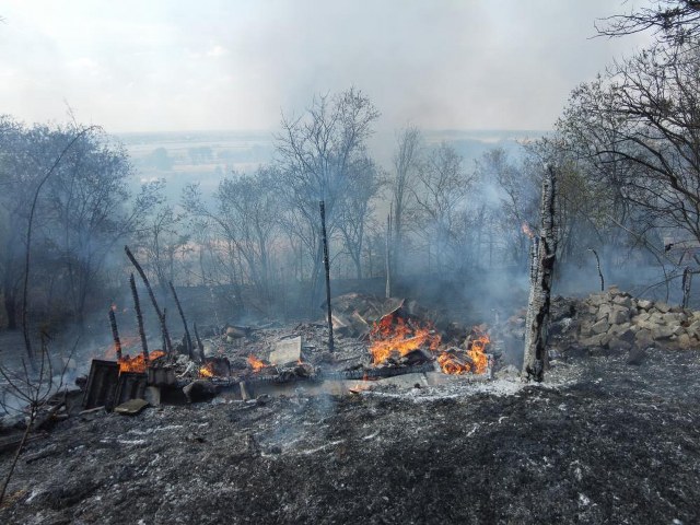 Vatandaş ve ekipler el ele yangının evlere ulaşmasına engel oldu