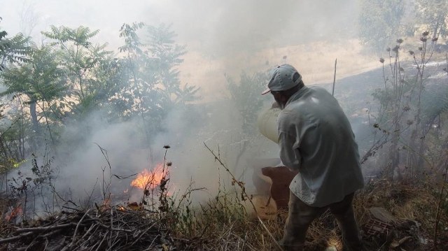 Vatandaş ve ekipler el ele yangının evlere ulaşmasına engel oldu