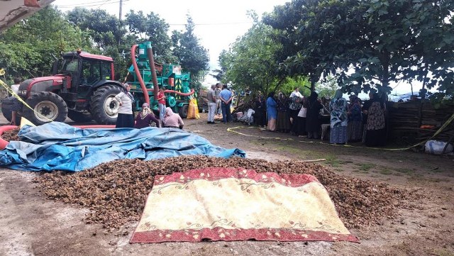 Ordu'da silahlı kavga! 2 ölü