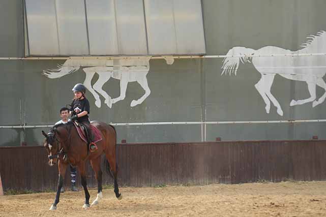 Samsun’da Atlı Spor Tesisi’ne ilgi yoğun